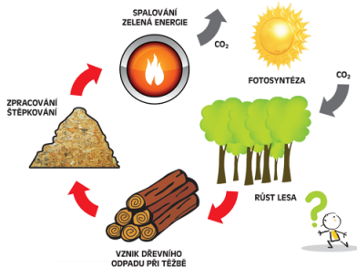 Schéma procesu biomasy
